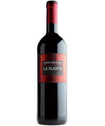 La Planta de Arzuaga Ribera del Duero