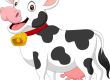 Queso Español